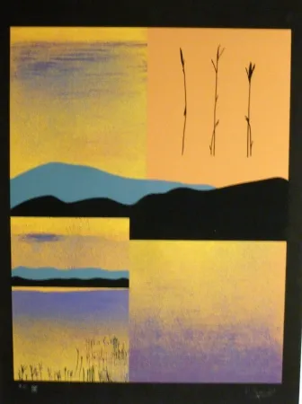 Screenprint Aguade - Analitica 1