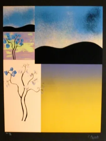 Screenprint Aguade - Analitica 2