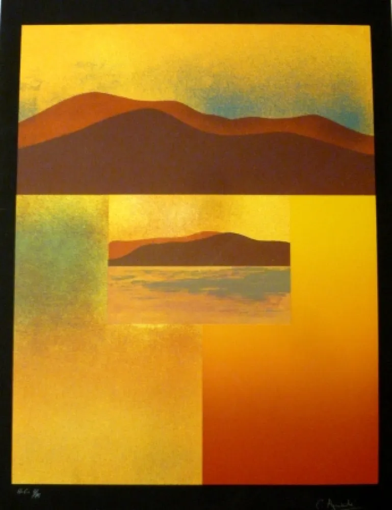 Screenprint Aguadé - Analitica 4