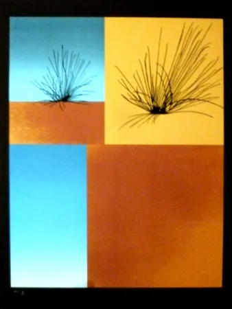 Screenprint Aguade - Analitica 7