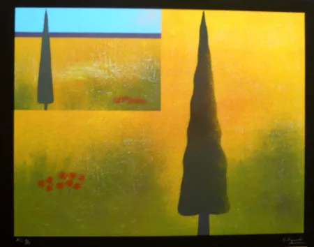 Screenprint Aguadé - Analitica 9