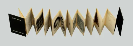 Screenprint Alviani - Programmazioni plastiche