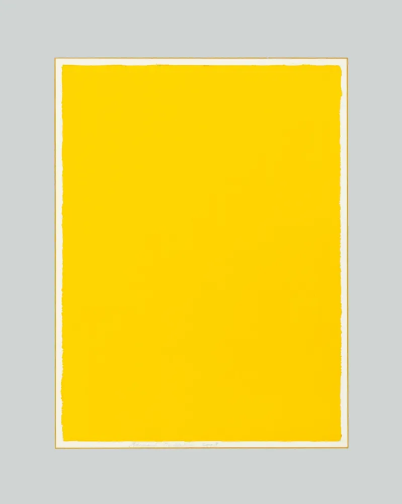 No Technical Aubertin - Monocromo giallo