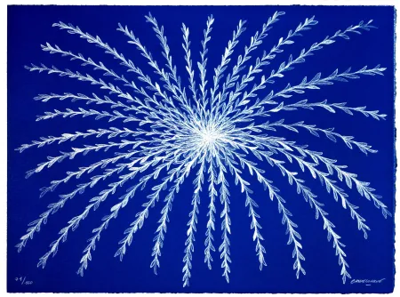 Lithograph Baudelocque - Etoile végétale