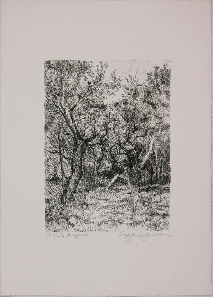 Engraving Bianchi Barriviera - Untitled