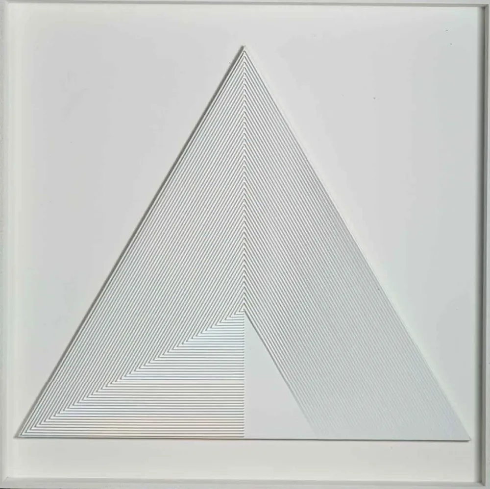 No Technical Biasi - POLITIPO TRIANGOLARE