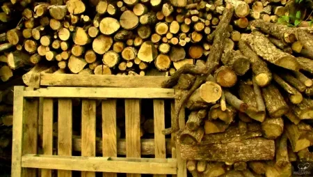 Photography Bohorquez - Palos de Moguer