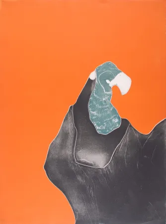 Engraving Brillant - Le Rocher Perroquet