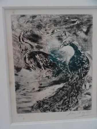 Engraving Chagall - Le Geai pare des plumes  du Paon