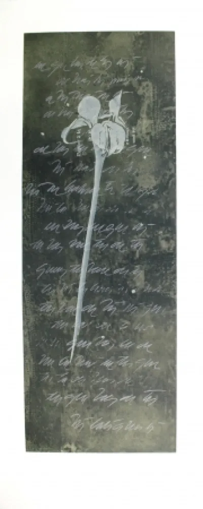 Etching And Aquatint Conte - El lenguaje de las flores I