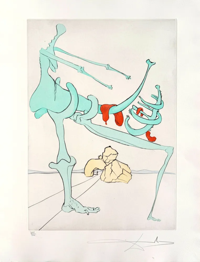 Engraving Dali - Quevedos Visioner, Planche IV