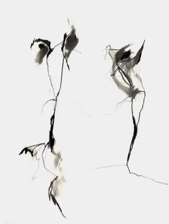 No Technical Drehbusch - Belangloskeiten / Irrelevancies