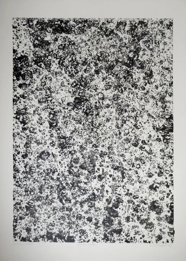 Lithograph Dubuffet - Gravier perlier