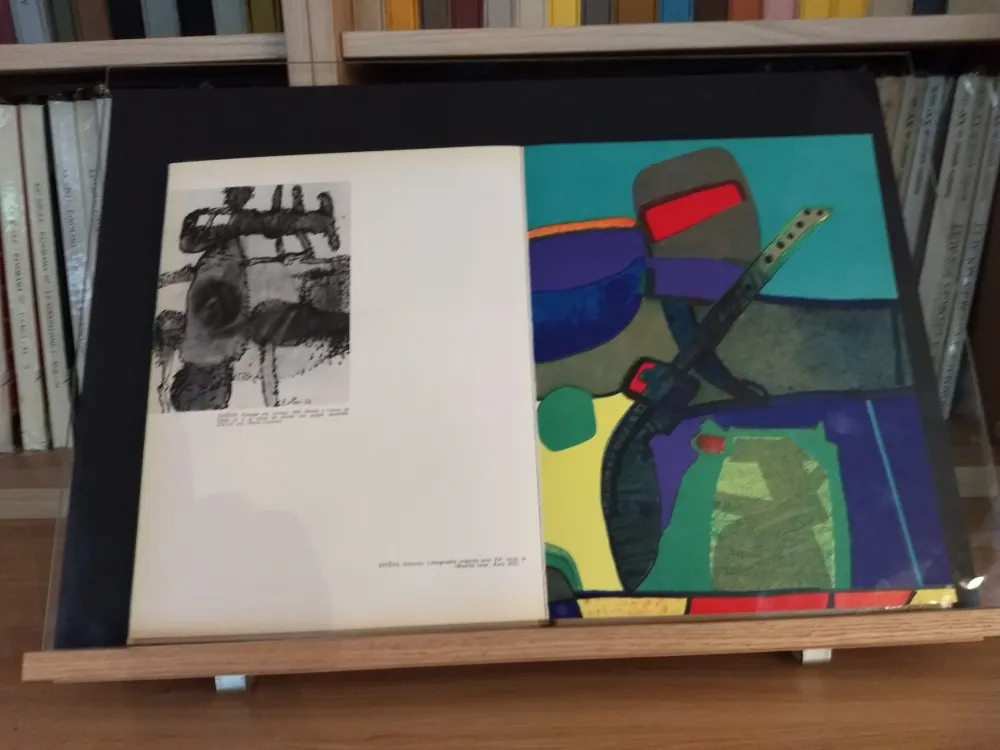 Illustrated Book Esteve - No 39