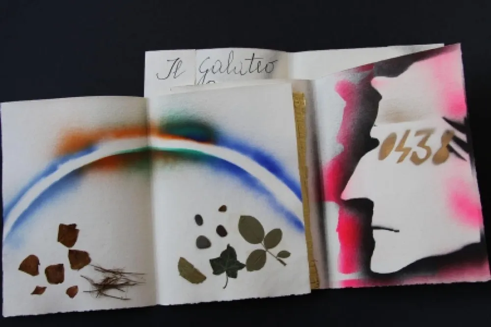 Illustrated Book Fioroni - Sonetto di veti e iridi