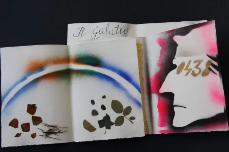 Illustrated Book Fioroni - Sonetto di veti e iridi