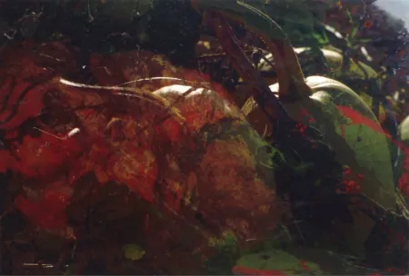 Photography Fischli - Ohne Titel (FW Funghi 19), 1998. Aus der Serie „Blumen und Pilze“.