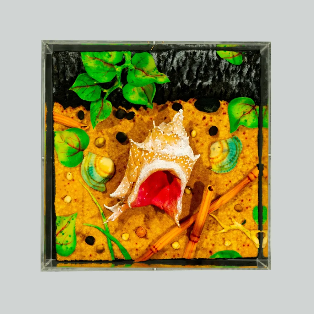 No Technical Gilardi - Spiaggia vulcanica