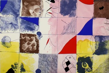 Lithograph Guinovart - Joc a terra