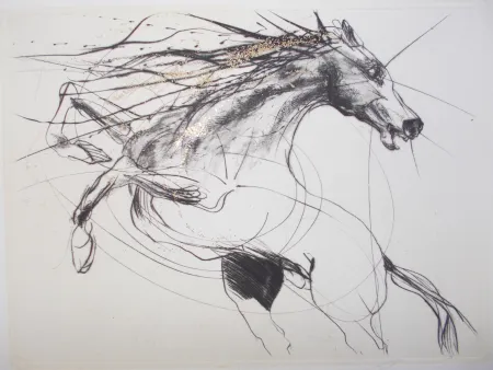 Etching Guiny - Etalon III