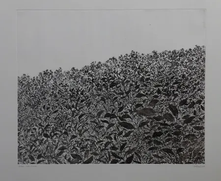 Engraving Henry - Sans titre