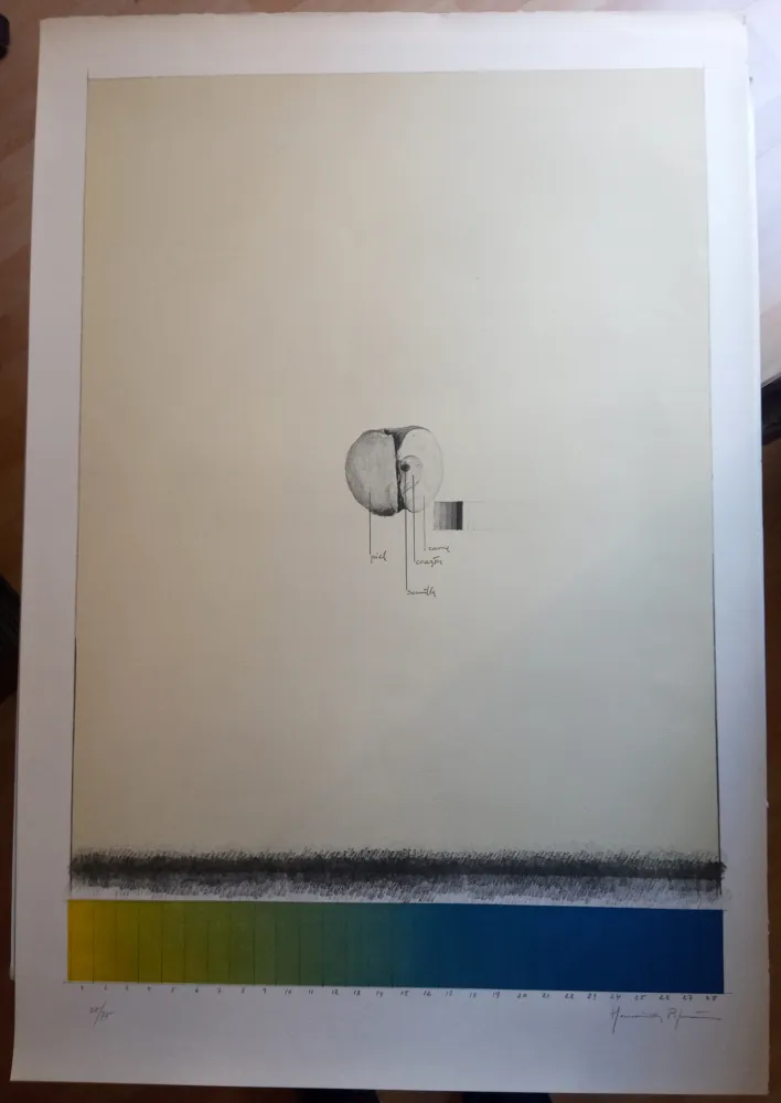 Lithograph Hernandez Pijuan - Poma