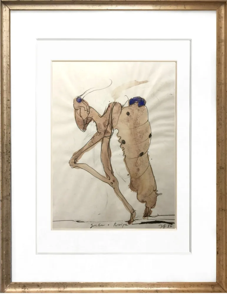 No Technical Janssen - Criket