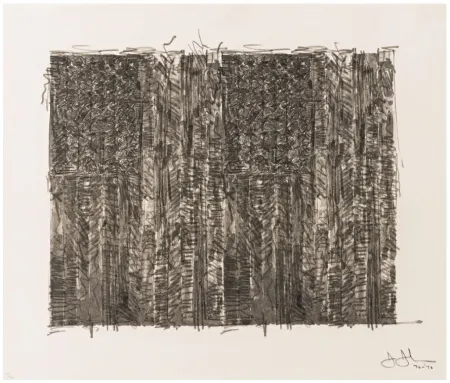 Screenprint Johns - Two Flags