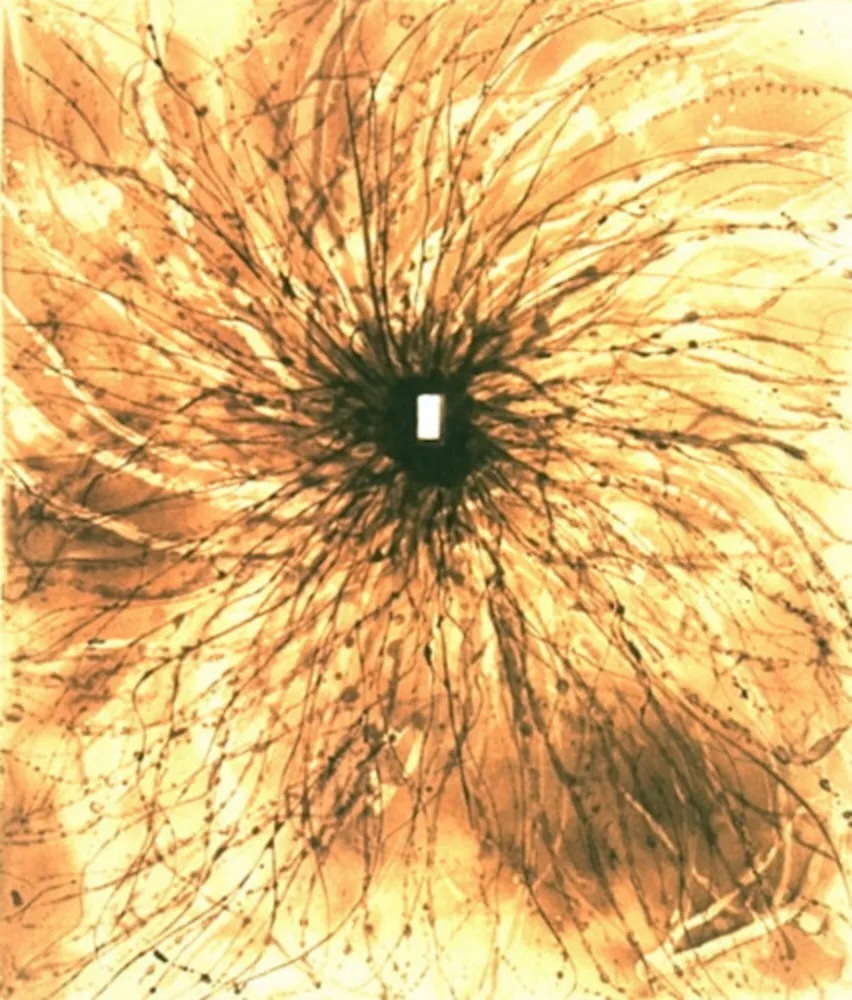 Aquatint Kapoor - Door