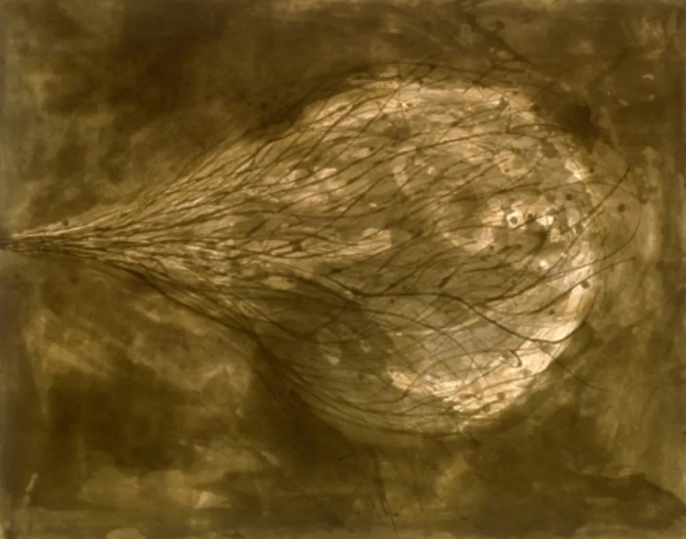 Aquatint Kapoor - Untitled (III)