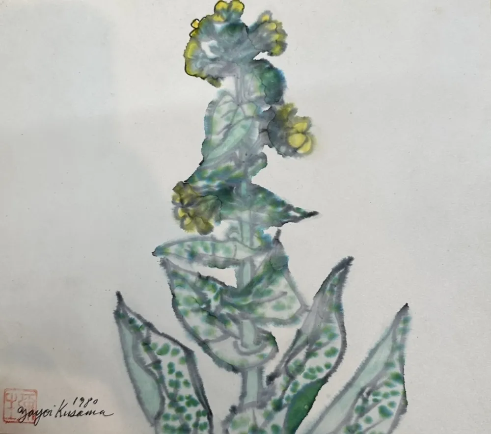 No Technical Kusama - Rape blossoms