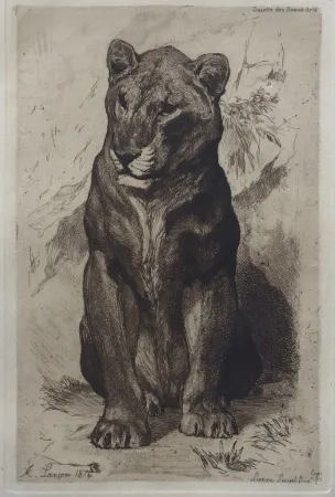 Etching Lançon - Lionne du Sénégal