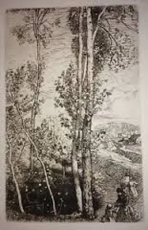 Etching Lepere - La petite mare