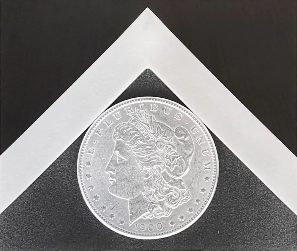 Photography Mapplethorpe - Silver Dollar
