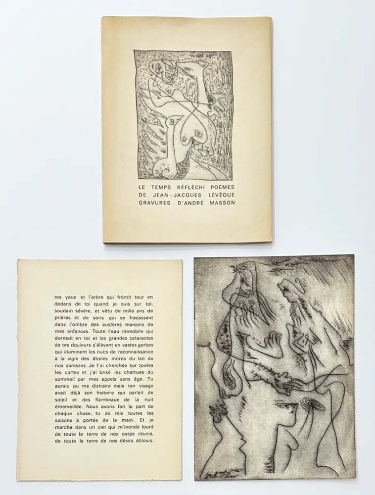 Illustrated Book Masson - Le temps réfléchi