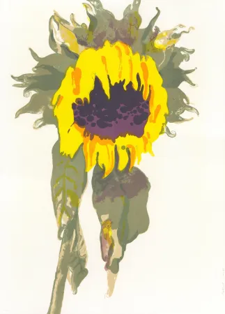 Lithograph Pétrovitch - Soleil