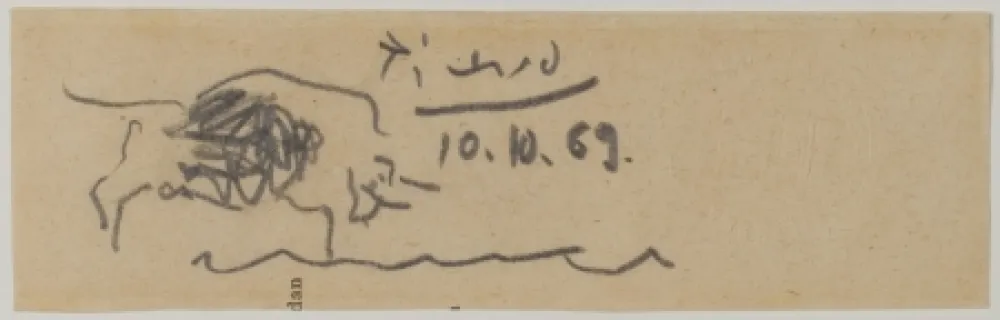 No Technical Picasso - Toro (Bull)