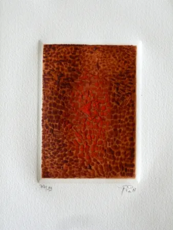 Etching And Aquatint Piza - Terre brulée