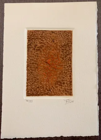Etching And Aquatint Piza - Terre brulée