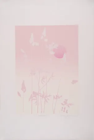Screenprint Richmond - Meadow - Prairie