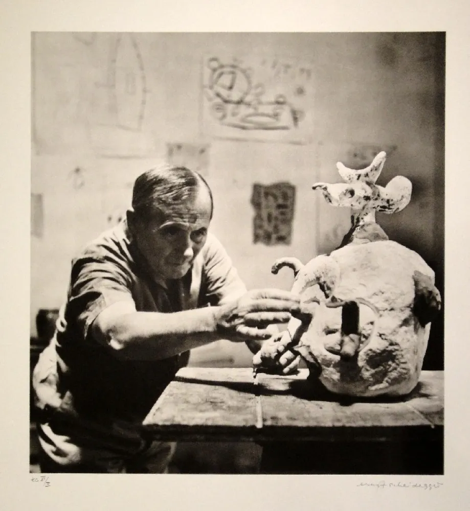 Photography Scheidegger - Joan Miro