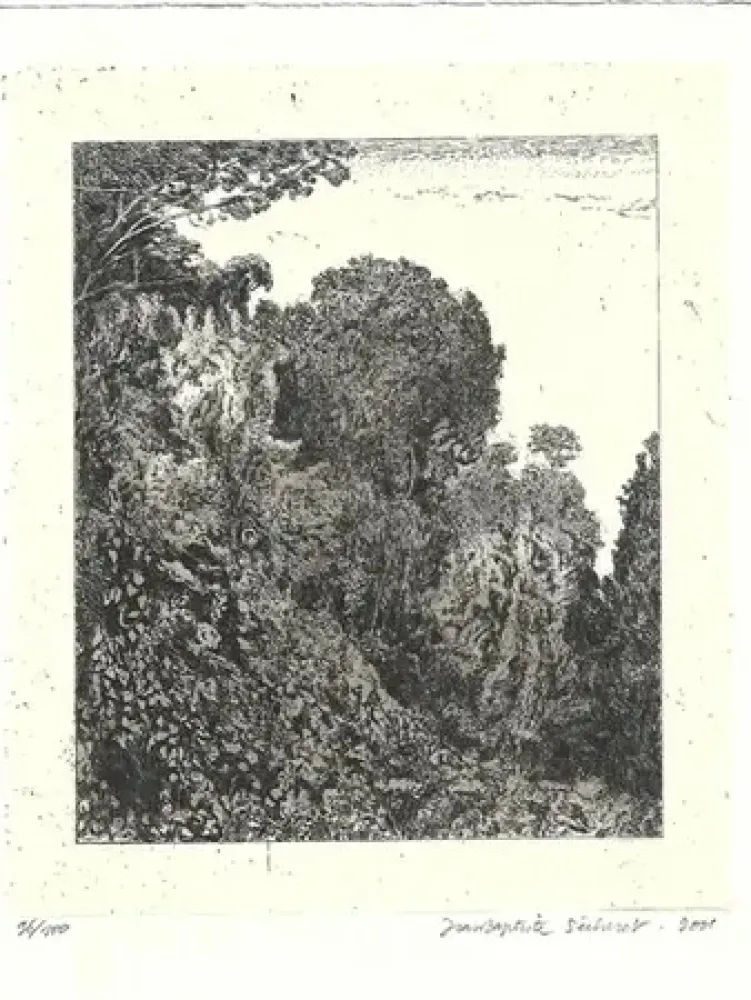 Etching Sécheret - Le bois d 'acacias (2001)