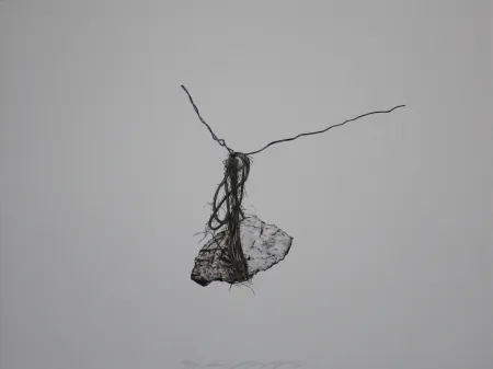 Lithograph Siegert - Stein / Rock