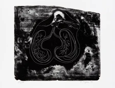 Lithograph Toguo - Reasons to love