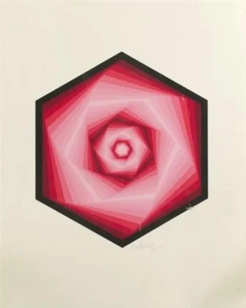 Screenprint Vasarely - Radau