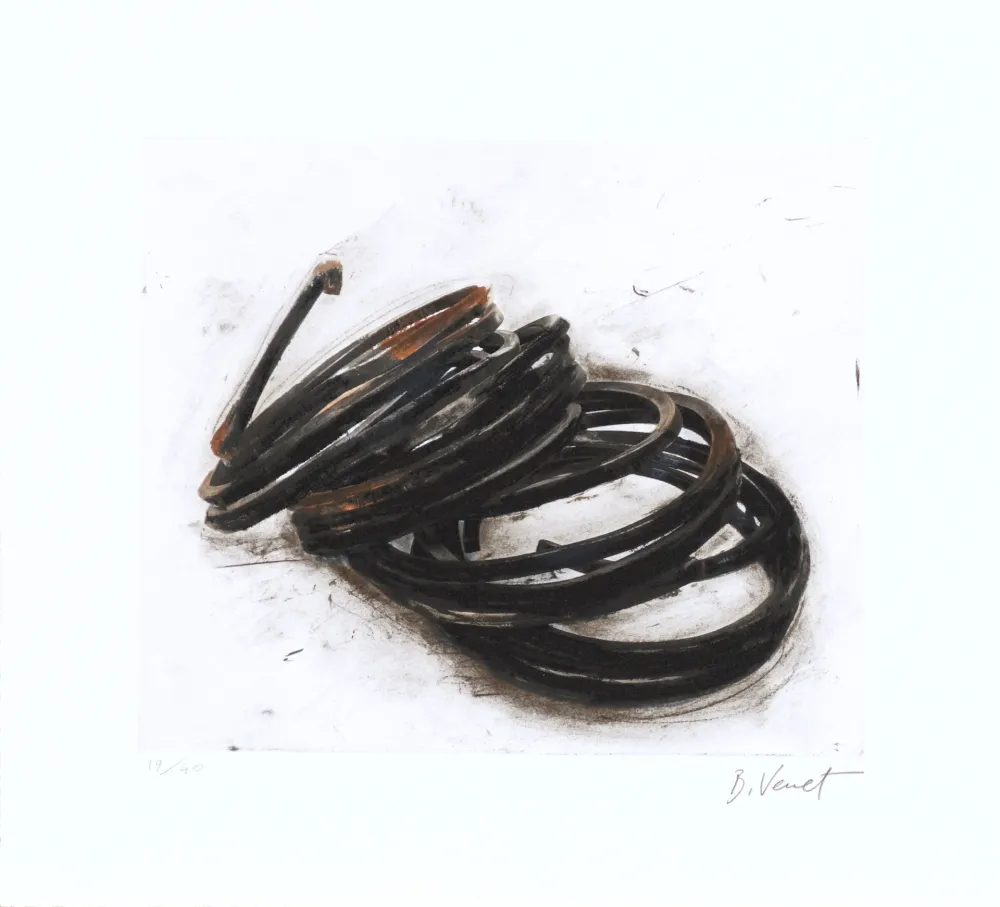 Engraving Venet - Effondrement - Indeterminate Lines 05