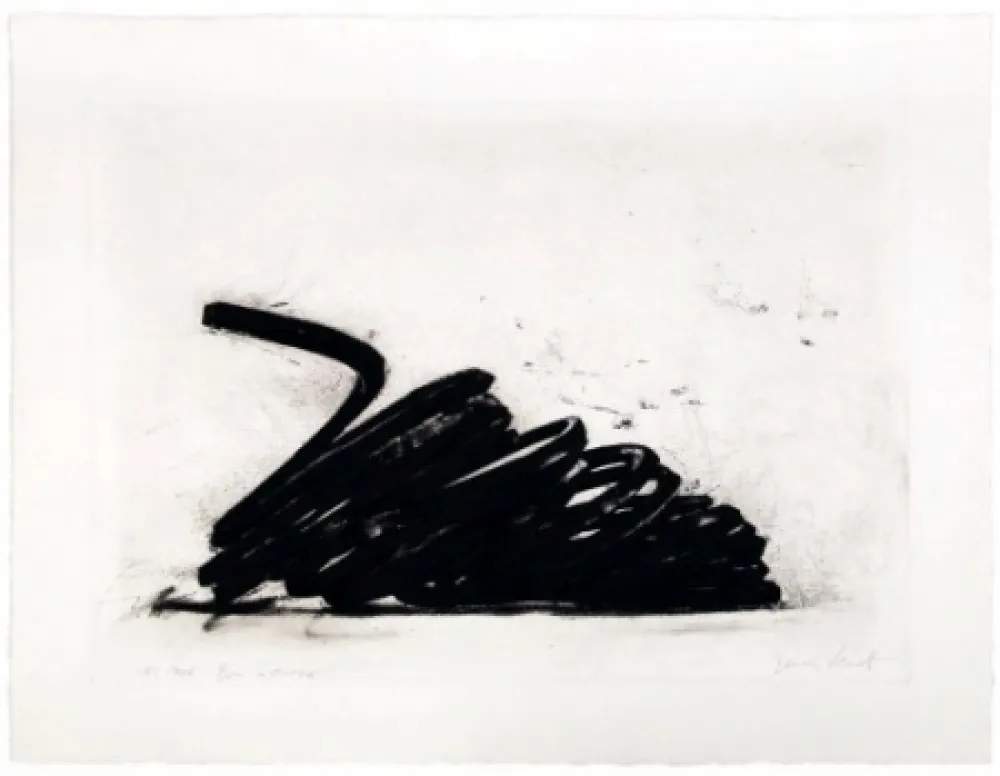 Engraving Venet - Effondrement: Indeterminate lines 