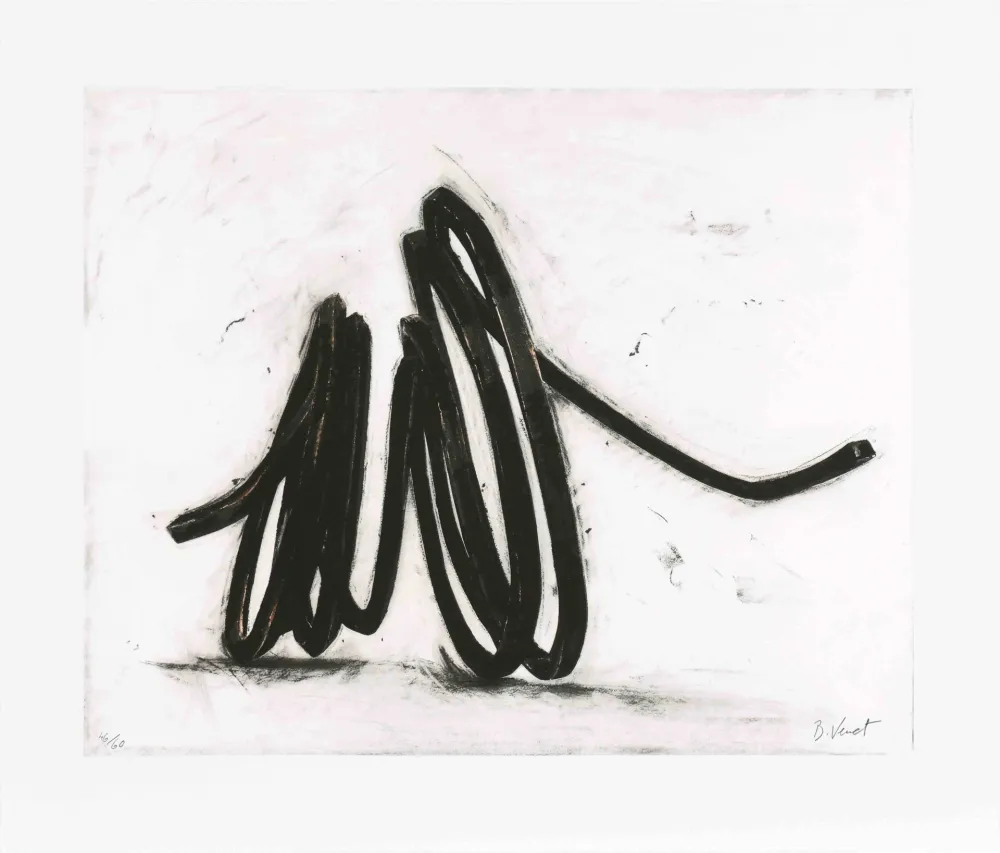 Engraving Venet - Indeterminate line I