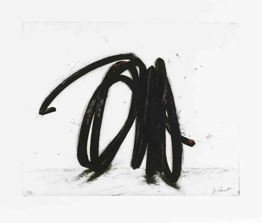 Engraving Venet - Indeterminate Line II