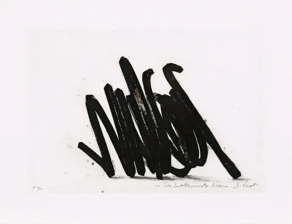 Engraving Venet - Two indeterminate lines 02